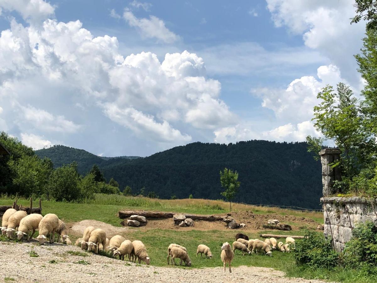 B&B Mad Mountain Robidisce 외부 사진