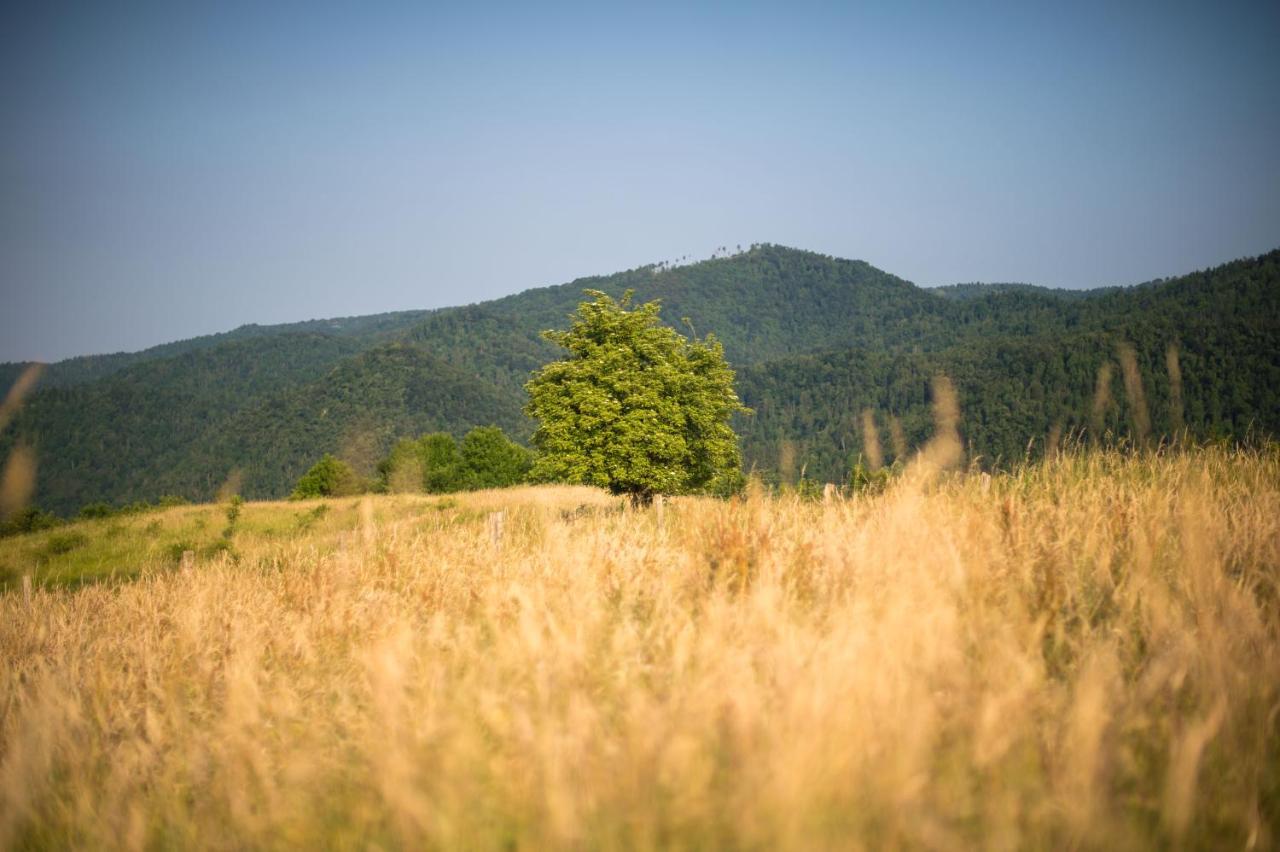 B&B Mad Mountain Robidisce 외부 사진